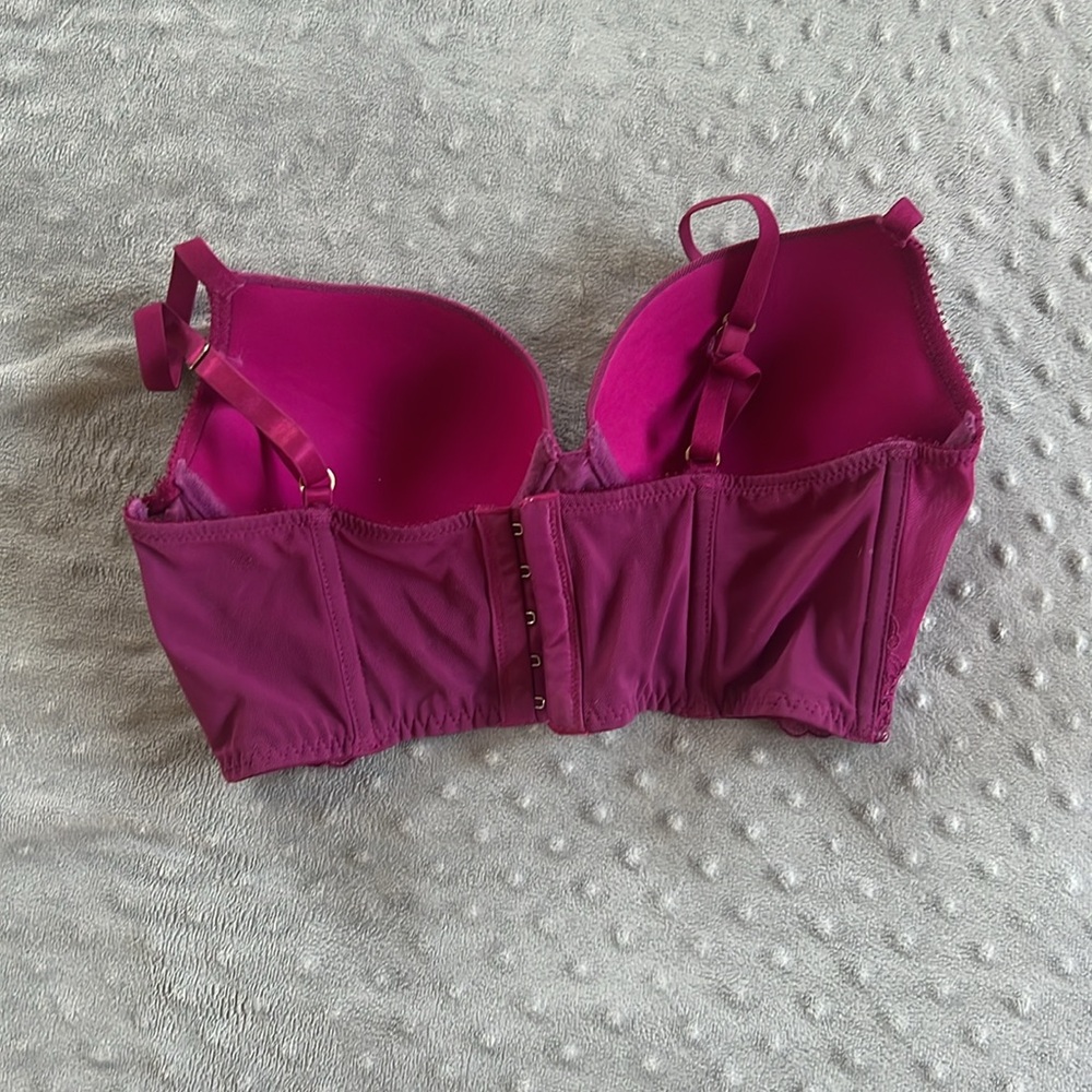 Violet Bustier Bra - Picture 2 of 5